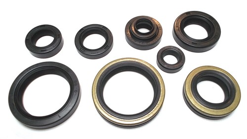 Motor simmerring satz suzuki - satz,